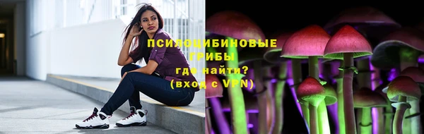 ПСИЛОЦИБИНОВЫЕ ГРИБЫ Вязники